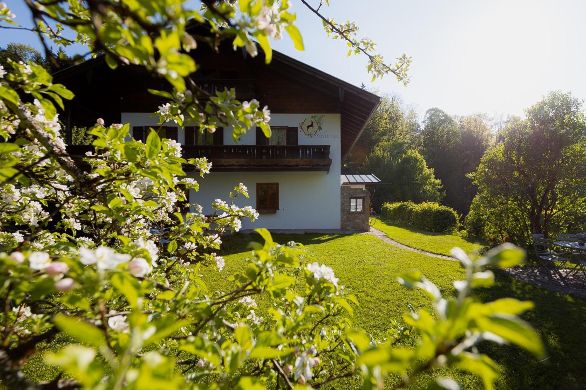 Ferienwohnung Mankei Schönau am Königssee 外观 照片